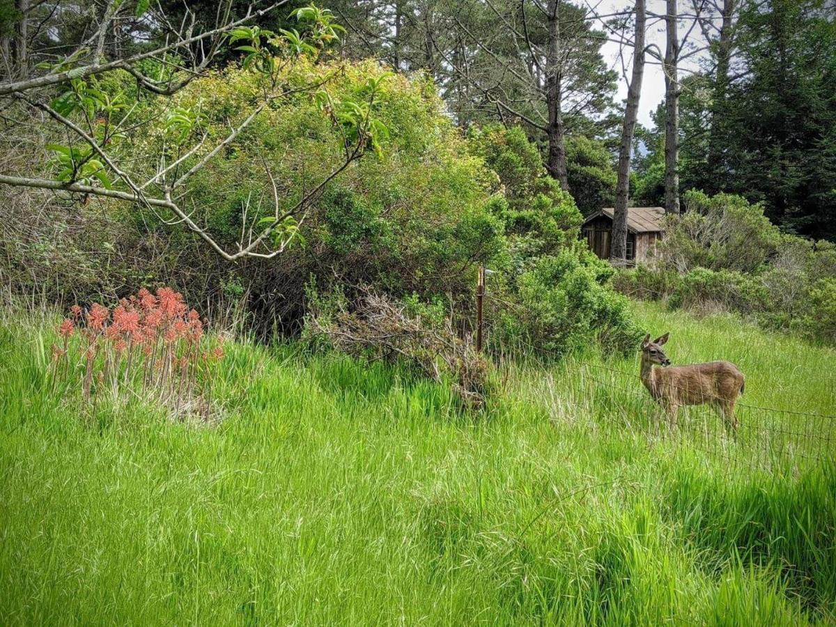 הוילה פוינט רייס סטיישן The Quail'S Nest Retreat מראה חיצוני תמונה